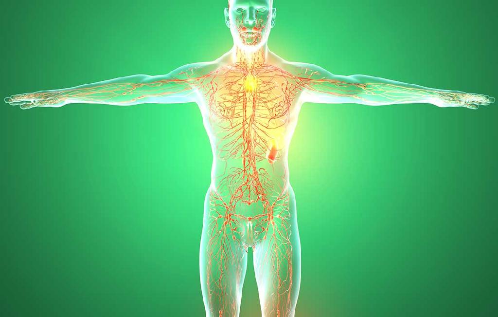 immune system impacts mental illness