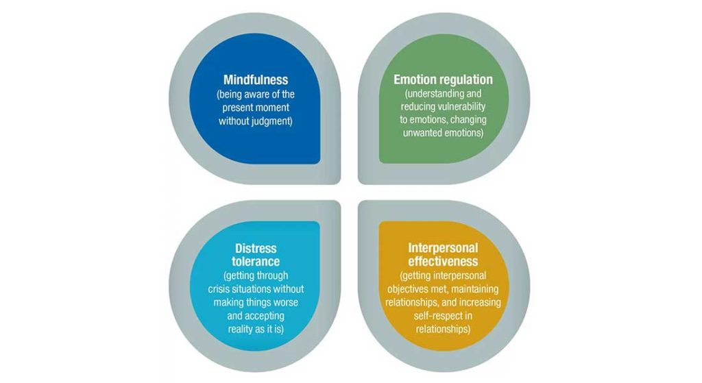 4 modules of DBT