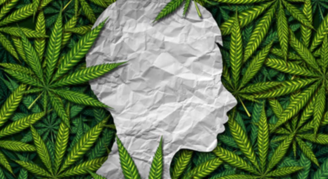 marijuana and psychosis