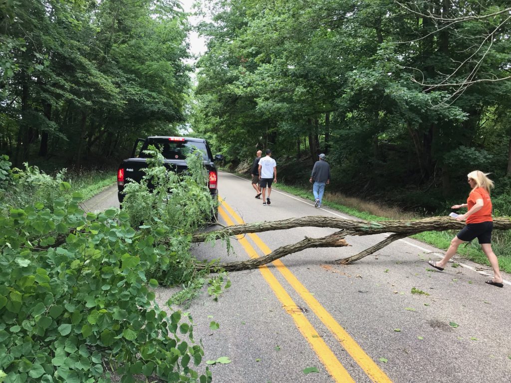 Tree blocking road