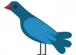 Annual Report Bird