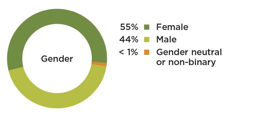 pie chart showing patient gender in 2019