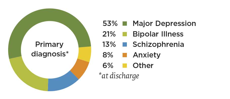 pie chart showing patient primary diagnosis in 2019