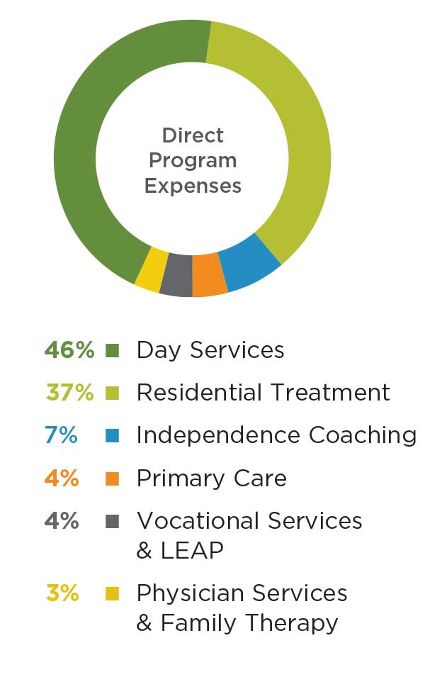 Annual Report Program Expenses