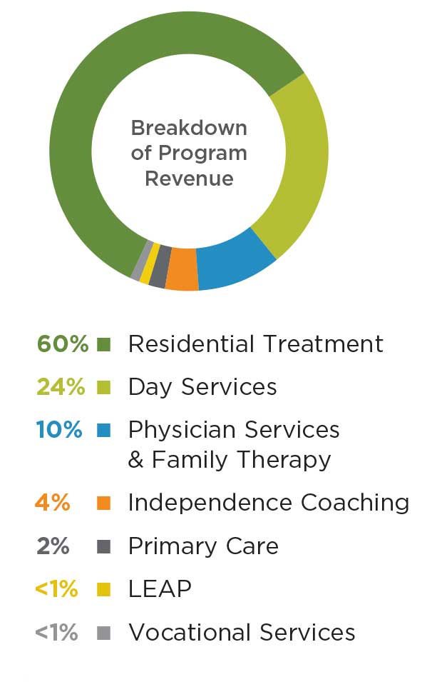 Annual Report Program Revenue