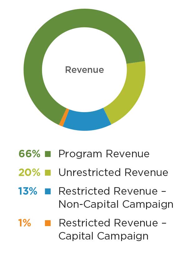 Annual Report Revenue