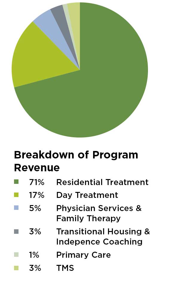 pie chart showing breakdown of program revenue