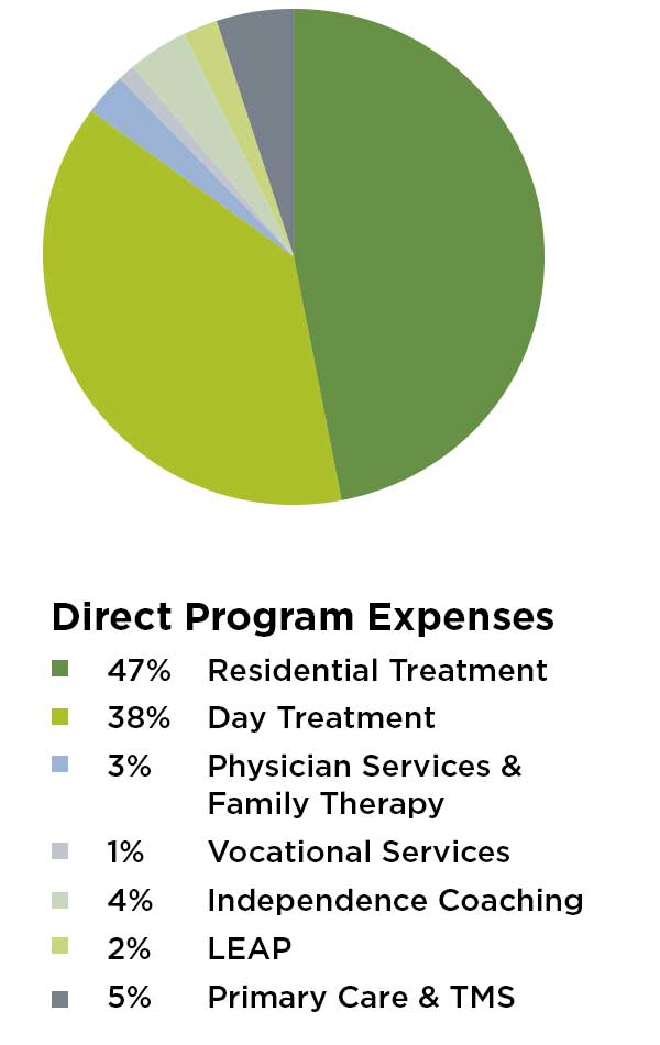 pie chart with program expenses