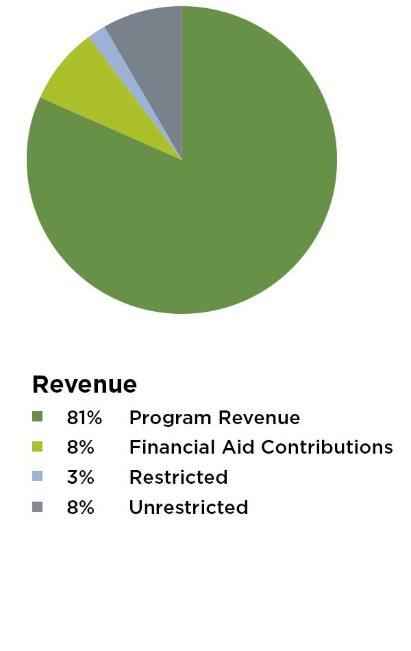 pie chart of revenue