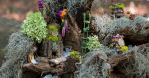 An image of a fairy home using bark, moss, twigs, flower petals, and other natural items.