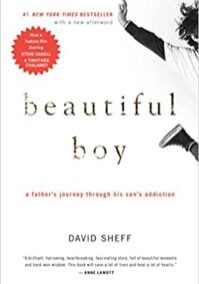 cover of book titled beautiful boy by author David Sheff